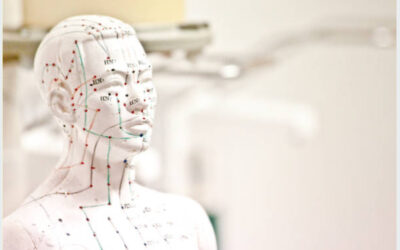 Acupuncture Wellness – What does Wellness mean?